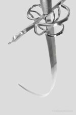 Elector Rapier | In stock - Image 13
